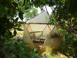 growthemedicine:  Geodesic drying dome (the top triangular panel