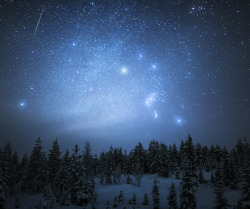 tiinatormanenphotography:  Orion.  I think I will make series