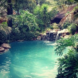 get-your-fitspiration:  😍😍😍#joburg #pool #lush #southafrica