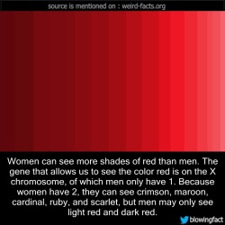 mindblowingfactz:    Women can see more shades of red than men.