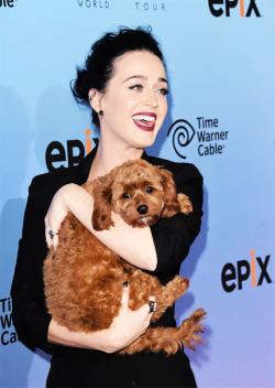 iheartkatyperry: at the screening of EPIX’s ‘Katy Perry: