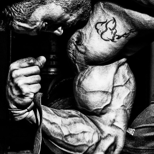 tumblr photo builddudebuild 2