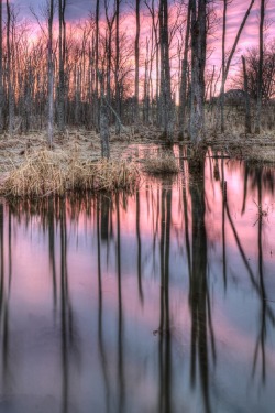 sublim-ature:  Jacobson Park, KentuckyFareed Khan