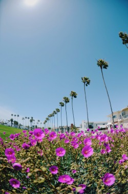sassafranski:  love this place