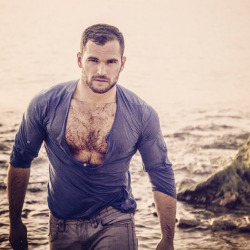 hairymodelwanab:  Perfect pic