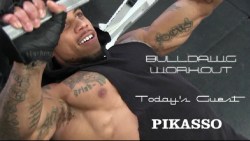 dawgpoundusa:  Coming up next—A workout video featuring Pikasso.