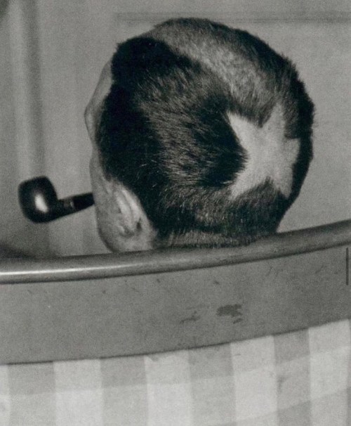 unsubconscious:  Marcel Duchamp with a tonsure haircut by Man