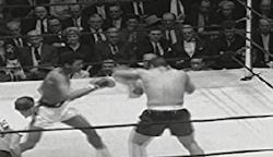 real-hiphophead:  A young Muhammad Ali in the ring