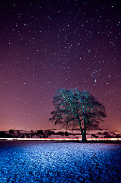 brutalgeneration:Tree, Strathaven by PMMPhoto on Flickr.WOW!!!