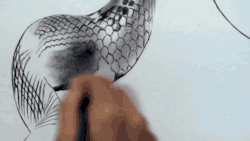 gifsboom:  Video: 3D Drawing of a Lifelike Snake 3D Spider Drawing