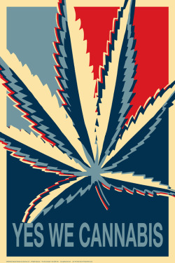 cannabuzzed:  WASHINGTON D.C., OREGON, AND ALASKA VOTE “YES”