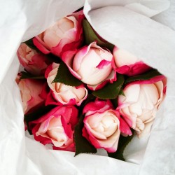 summerhigh:  imagine if your crush brought you a bouquet of these!