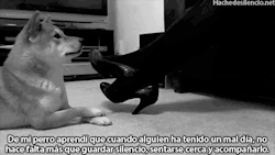 Hache de silencio