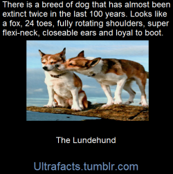 ultrafacts:    (Fact Source/more pictures) for more facts, follow
