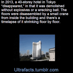 ultrafacts:    Japanese construction company Taisei Corporation