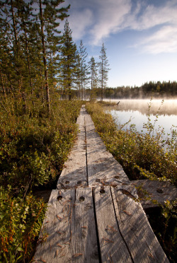 travelingcolors:  Lapland | Finland (by Forester 696)