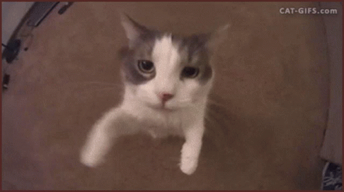 nous-portons:For anyone who needs it today, c’mere…