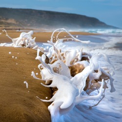 ponderation:  Frozen in Time by ajburke75 