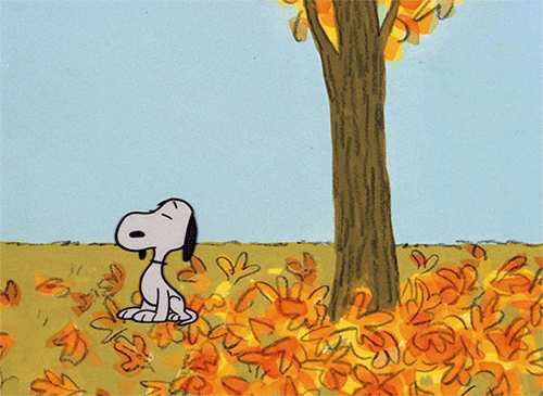 ofallingstar:It’s the Great Pumpkin, Charlie Brown (1966)