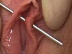 pussymodsgalore  Both inner labia with one needle. Next come