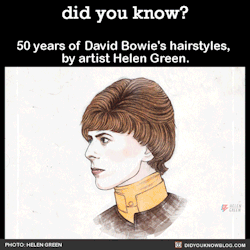 did-you-kno:  50 years of David Bowie’s hairstyles, by artist