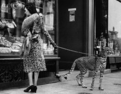 historicaltimes:  Actress Phyllis Gordon and her Pet Cheetah,