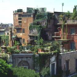 boundunbound:  enochliew:  Roof Gardens in Rome  drooools everywhere