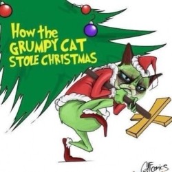 #truth ! #christmas #grumpycat #grinch #lights #xmas #swag #yolo