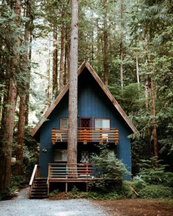 wild-cabins:  zachary k smith