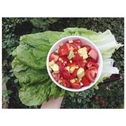 Fresh 💦 {tomato, capsicum, corn, avocado and chick pea lettuce