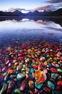 coffeewithsatan:googleearthpics:Pebble Shore Lake in Glacier