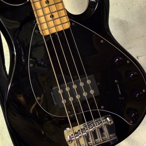 <p>#happy fingers and ears playing this #bass tonight with @markhaze12 @ernieballmusicman #stingray5</p>