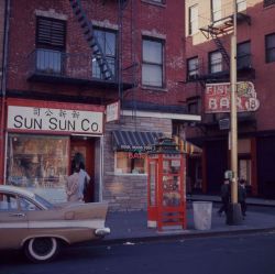 oldnewyorklandia: Tina Mazzini Zuccoli,  New York, 1964.   