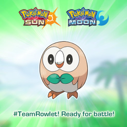 rebexorcist:  pokemon:Raise your hand if you’re #TeamRowlet! 