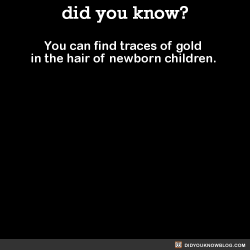 black-bitch-alchemist:  did-you-kno:  You can find traces of