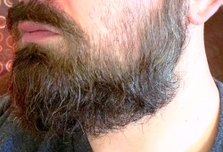 My beard is starting to get a little long…