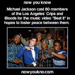 sugarmacaron:  nowyoukno:  Michael Jackson facts to commemorate