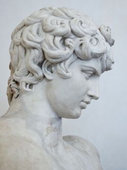 classical-beauty-of-the-past:  Antinous Ludovisi by Jastrow