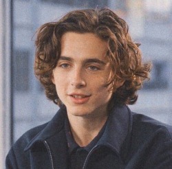 liltimmy-tea:timothée chalamet was only 22 years old when he