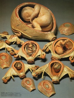 19th-century pregnant dolls - Fetus model set (circa 1877) -