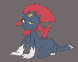 ero-borus:  Granita the weavile