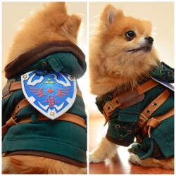 donthatethegeek:  Puppy Link is off to save puppy Zelda