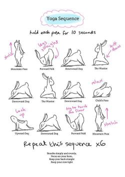 alexespitia:  Bunny Yoga ^_^