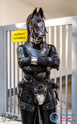 nighty-horse:  During Folsom Europe 2015, I have been able to