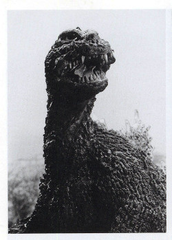 astromonster:  This is what Godzilla looks like. No others need