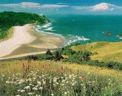 retrospectia:  Beautiful America’s Oregon Coast, 1999 