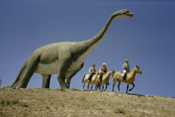 natgeofound:Tourists on horses ride past a life-size apatosaurus