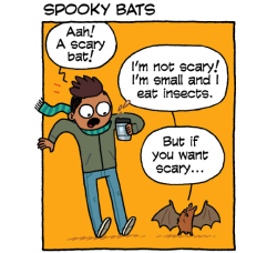 birdandmoon: Many bats are helpful little insect eaters. The