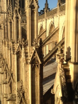 celticknot65:York Minster, December 2016 Daddy sharing his incredible