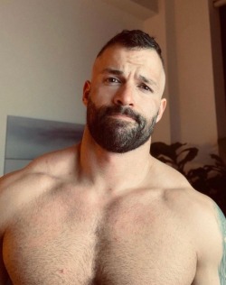 Daddies Bears and Muscles